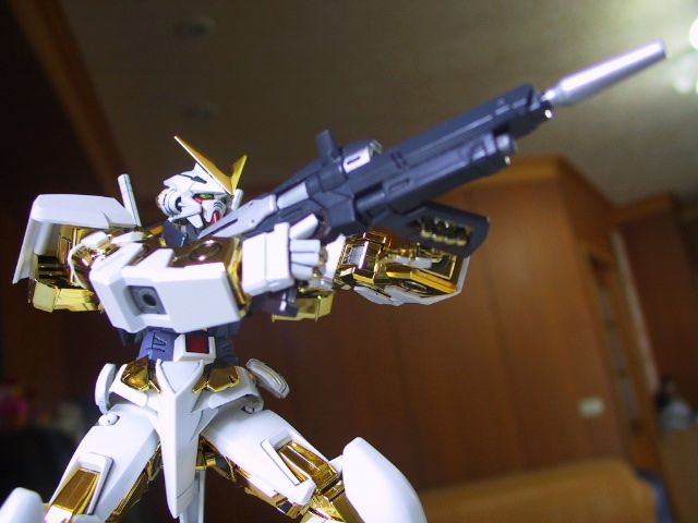 1/100 Astray Gundam Gold Fram...